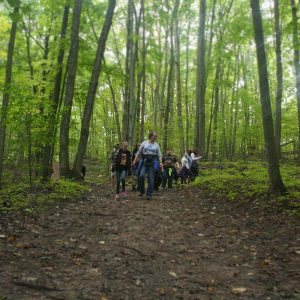 Volunteer to lead tours at Michigan Legacy Art Park.