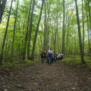 Hiking Michigan Legacy Art Park on a northern Michigan Field Trip
