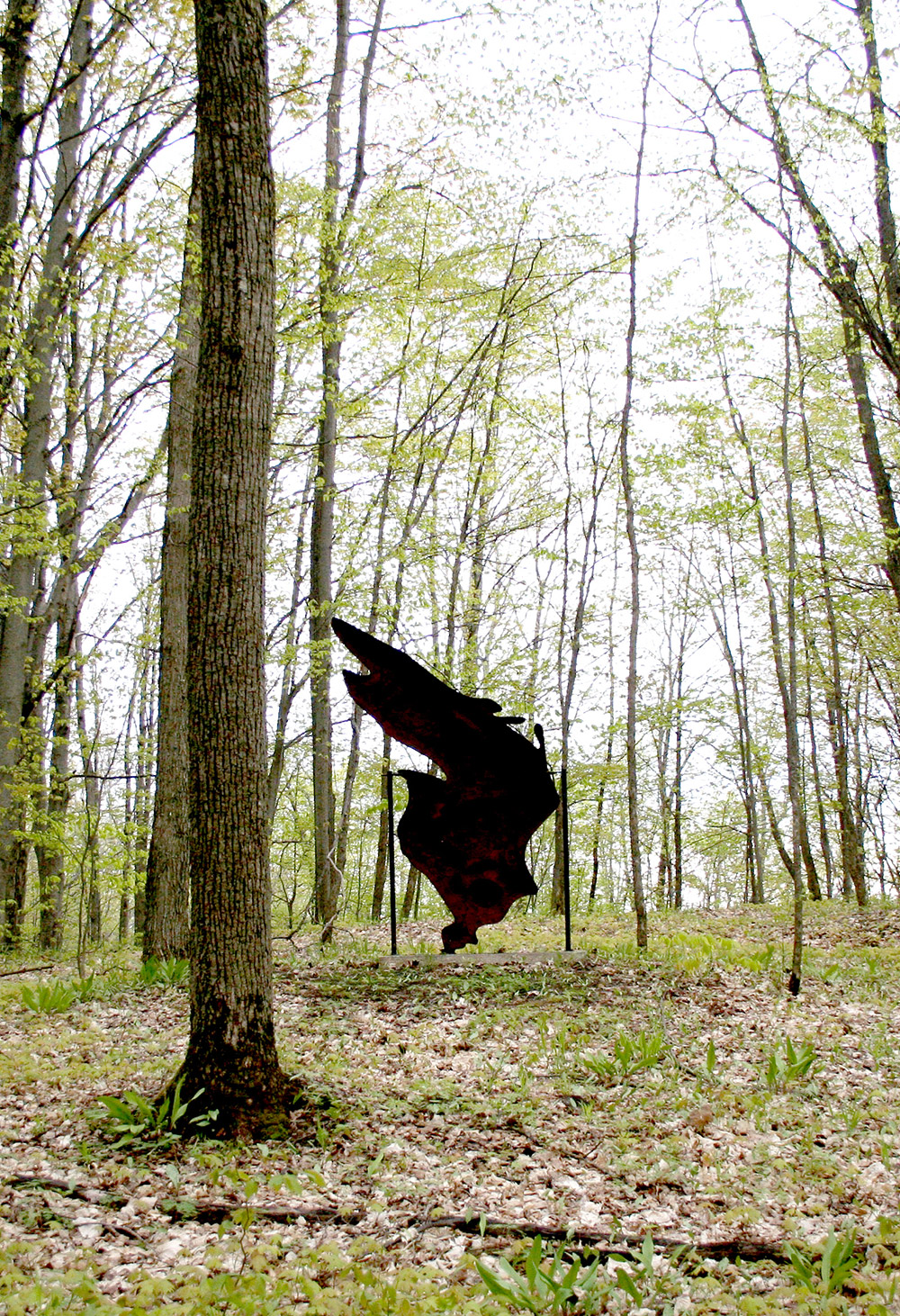 Brian Ferriby "Superior"