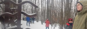 Snowshoe Hiking
