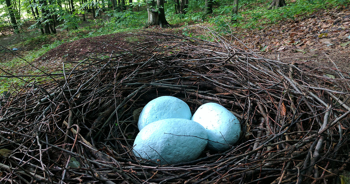 Robins by Patricia Innis