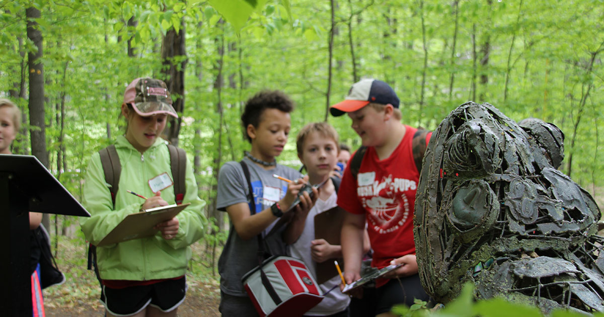 Studying Frog on a field trip