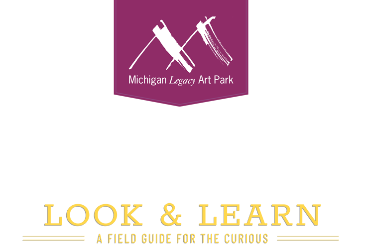 Michigan Legacy Art Park - Look & Learn: A Field Guide for the Curious